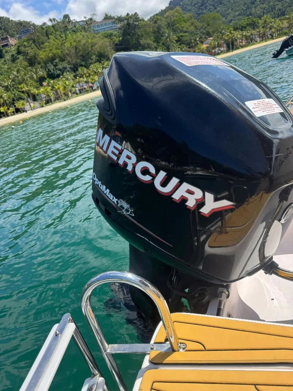 MOTOR NAUTICO OPTMAX 225 - Foto 3