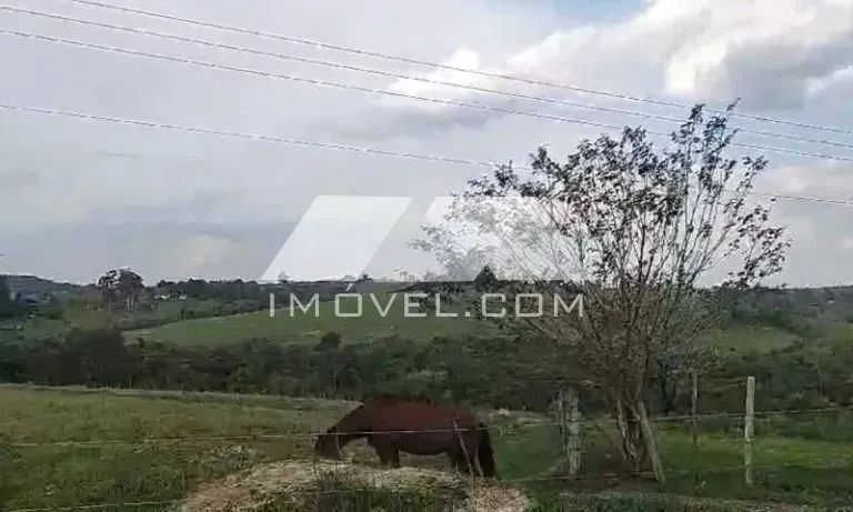 SÍTIO COM 1 ALQUEIRE - JACUTINGA, CORUMBATAÍ/SP - Foto 4