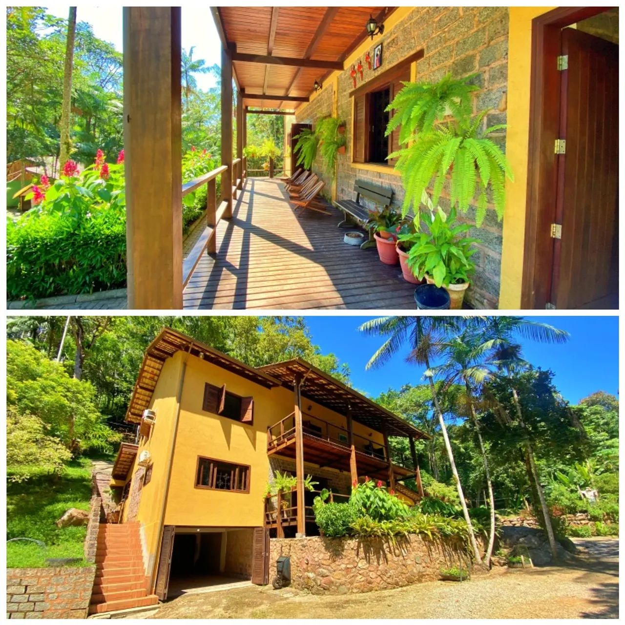 Paraíso à Venda | Sítio com riacho e cascatas em Três Riachos - Biguaçu/SC - 4,7 Hectares - Foto 4