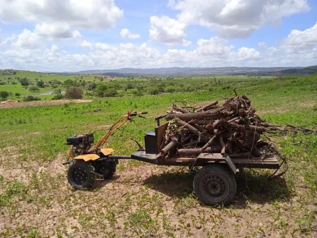 Tratorito Buffalo 10 HP - Diesel Com Carroça - Foto 2