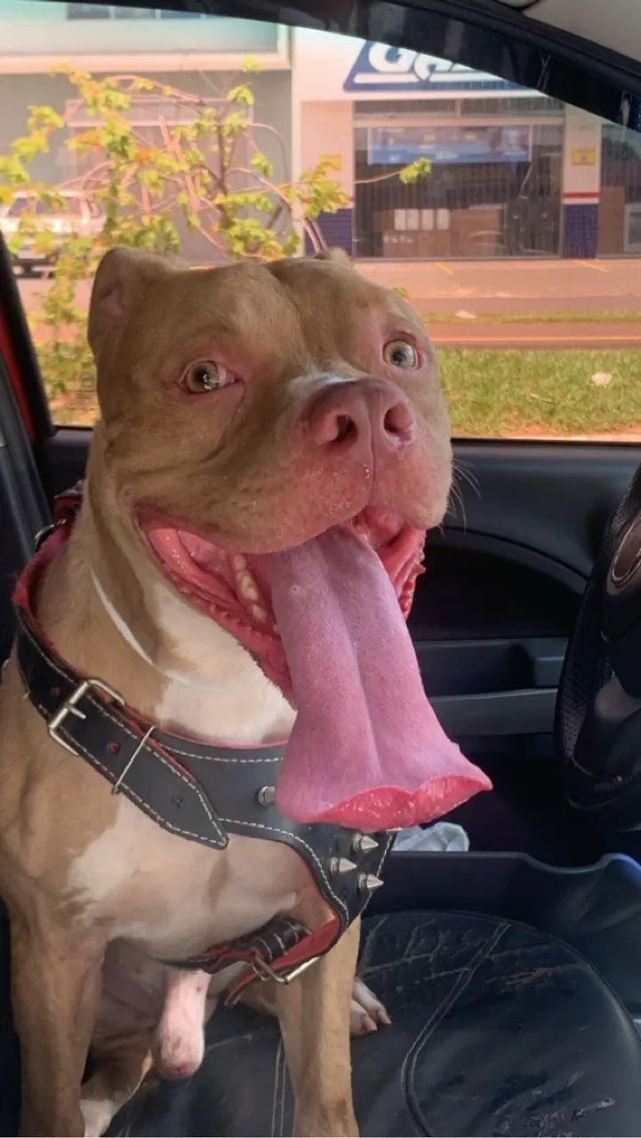 A Procura de uma Namorada 