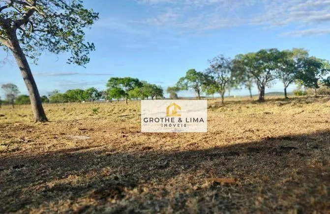 Excelente fazenda à venda na região do município de Palmas-TO.