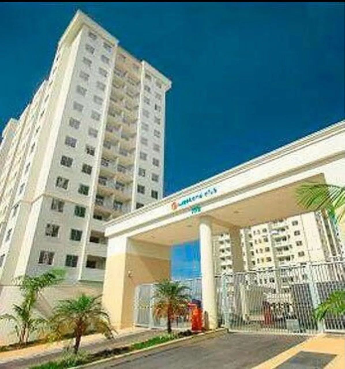 Foto - Manaus - Ponta Negra
