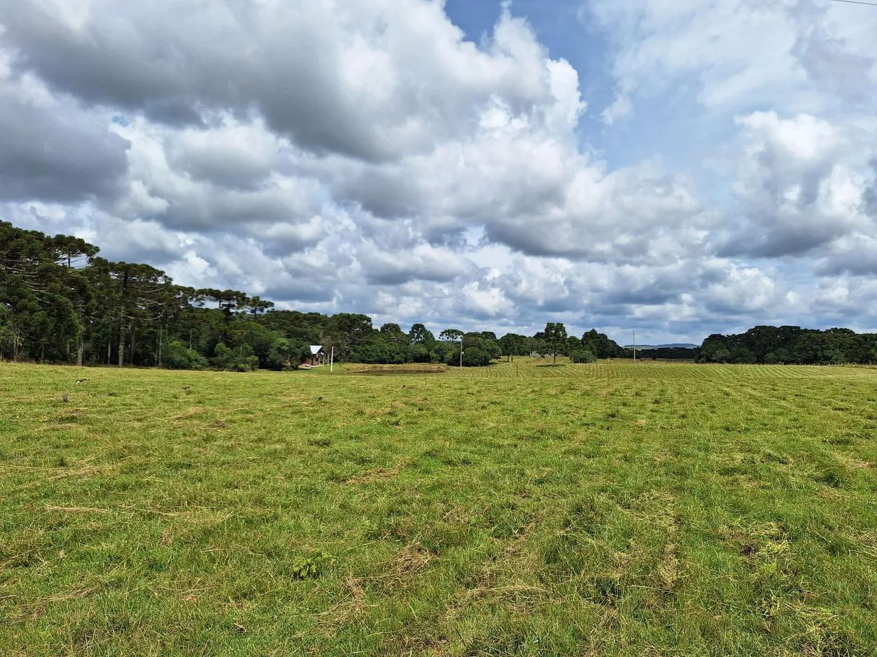 Linda área de campo na serra gaúcha. - Foto 7