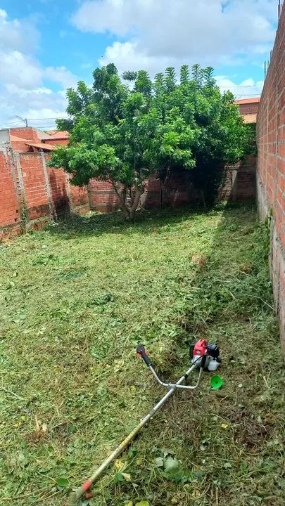 Terreno organizado com uma ótima localização. - Foto 5