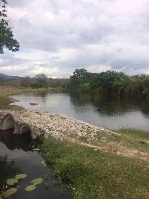 Ótimo para Empreendedorismo, Fazenda 16 hec, Rio e 2 Açudes Perene, Agrestina - Foto 2