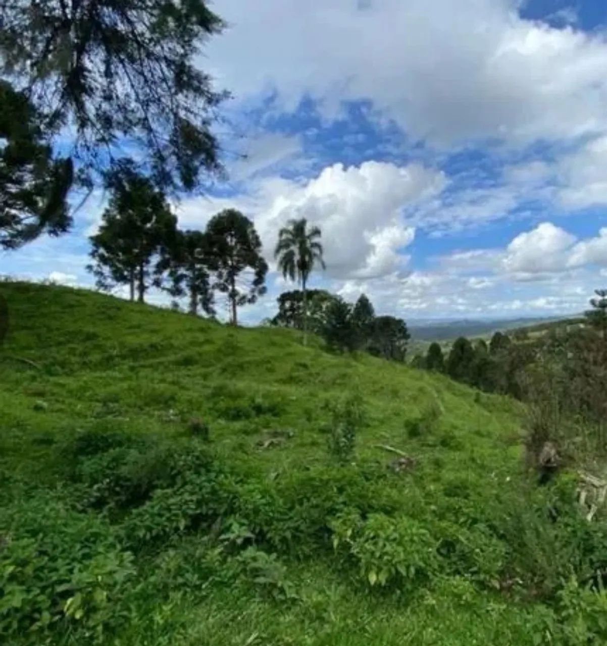 Terreno 3 hectares Bom Retiro/SC (OPORTUNIDADE) 