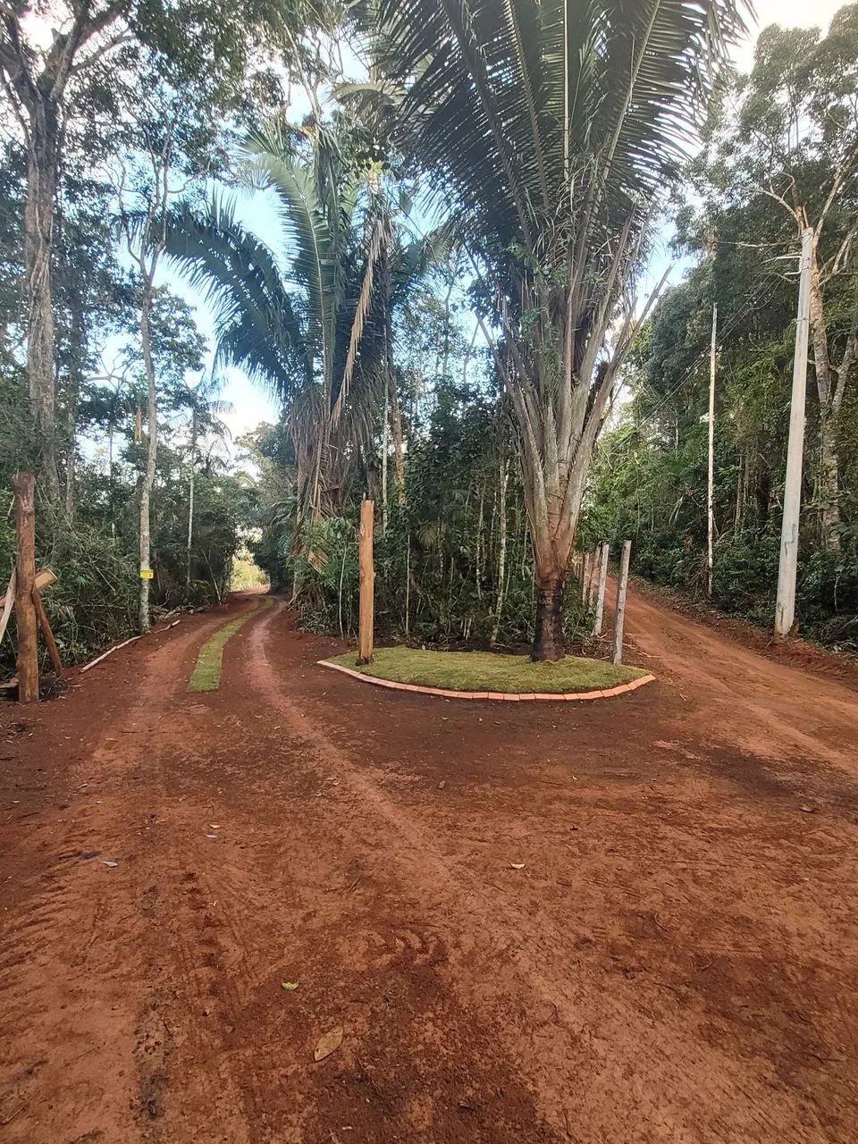 Foto - Santa Teresa - 