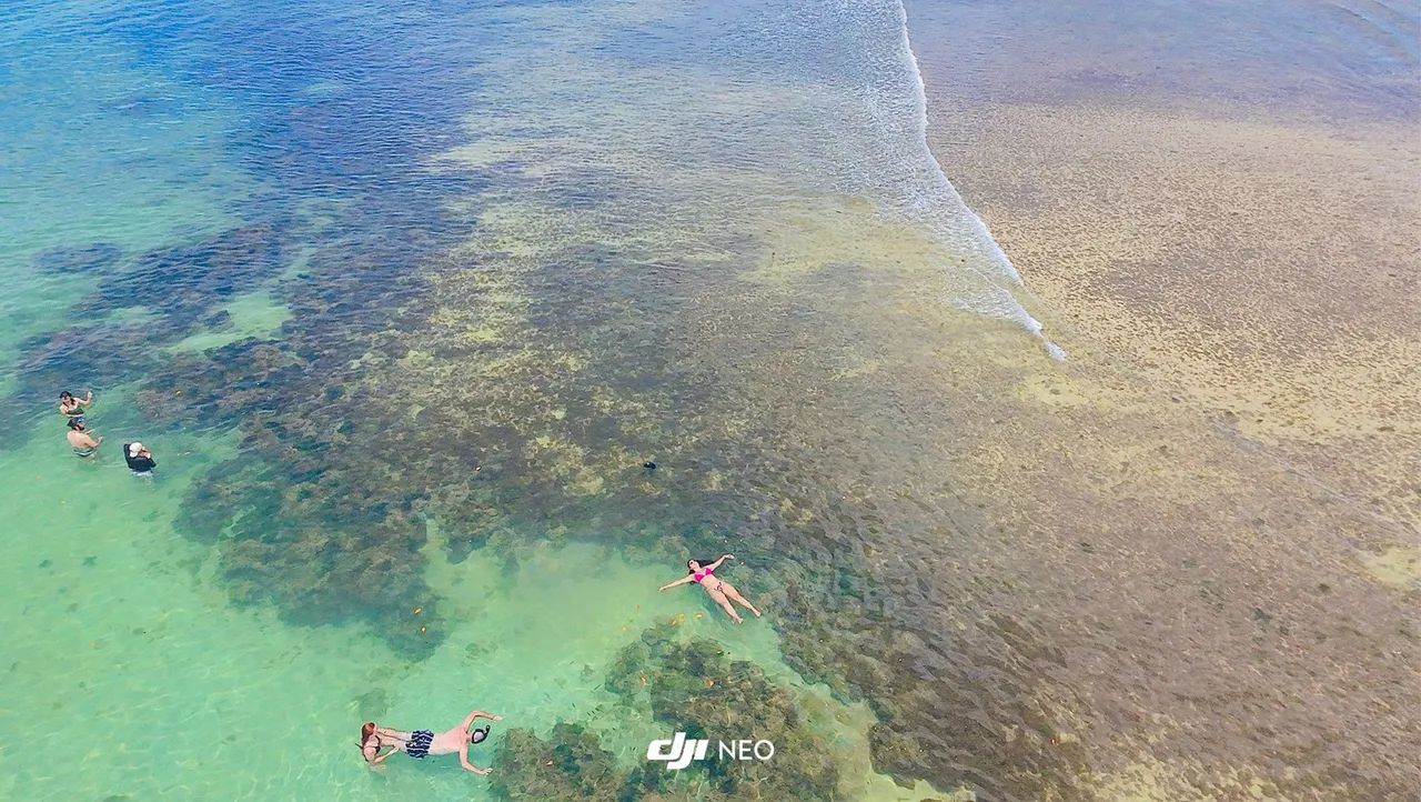 Drone para iniciantes com ia DJI NEO  - Foto 5