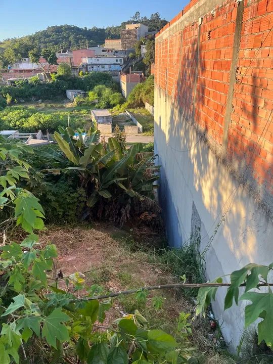 Terreno Amador Bueno meio lote  - Foto 4