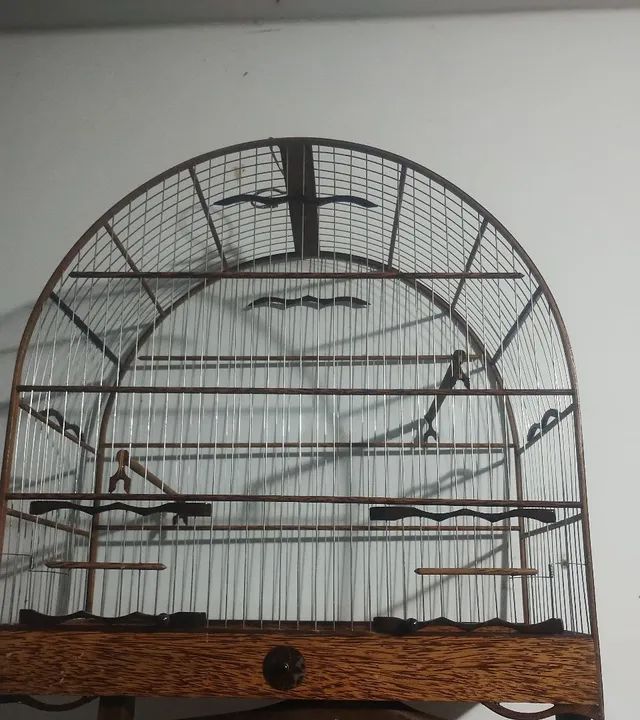 Gaiola luxo . Trocas em gaiola de ring - Foto 3