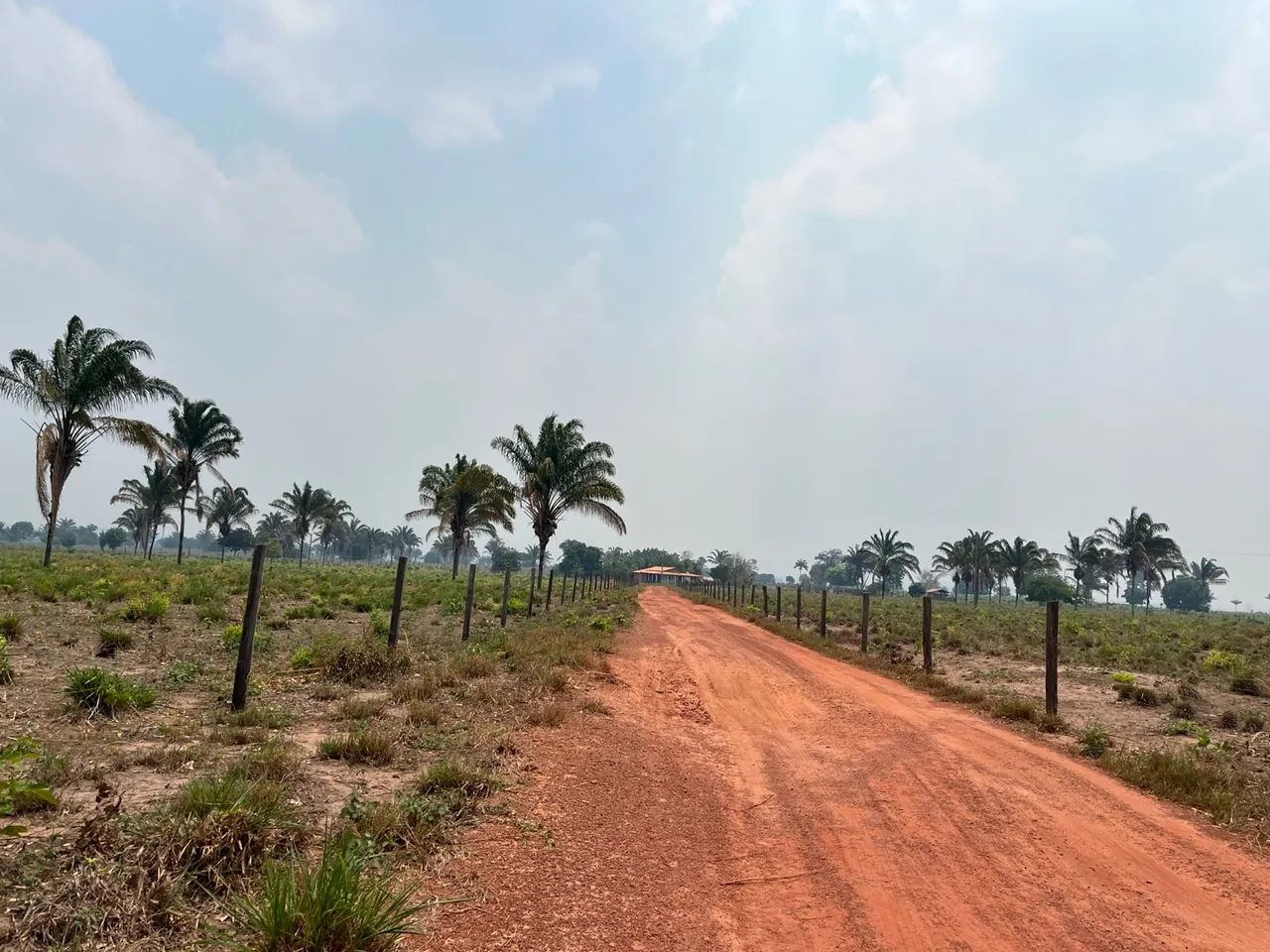 Fazenda disponível, São Domingos do Araguaia. - Foto 2