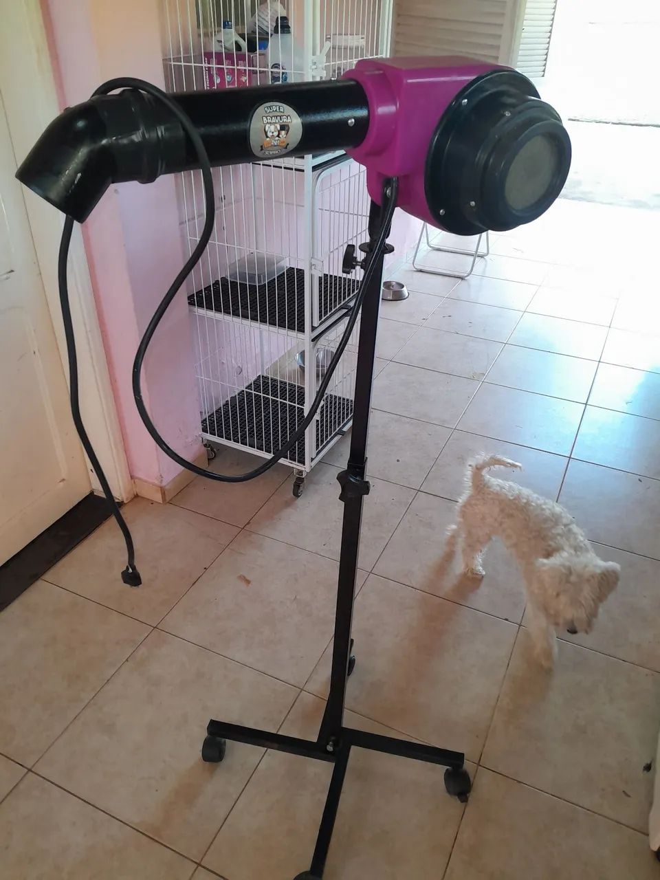 Secador de Pelos para Pet - Super Bravura