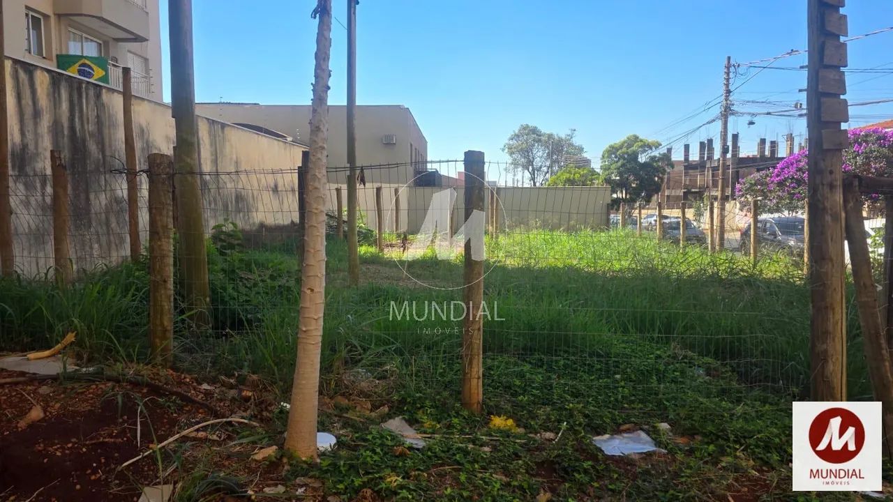 Terreno (terreno normal) - Foto 2