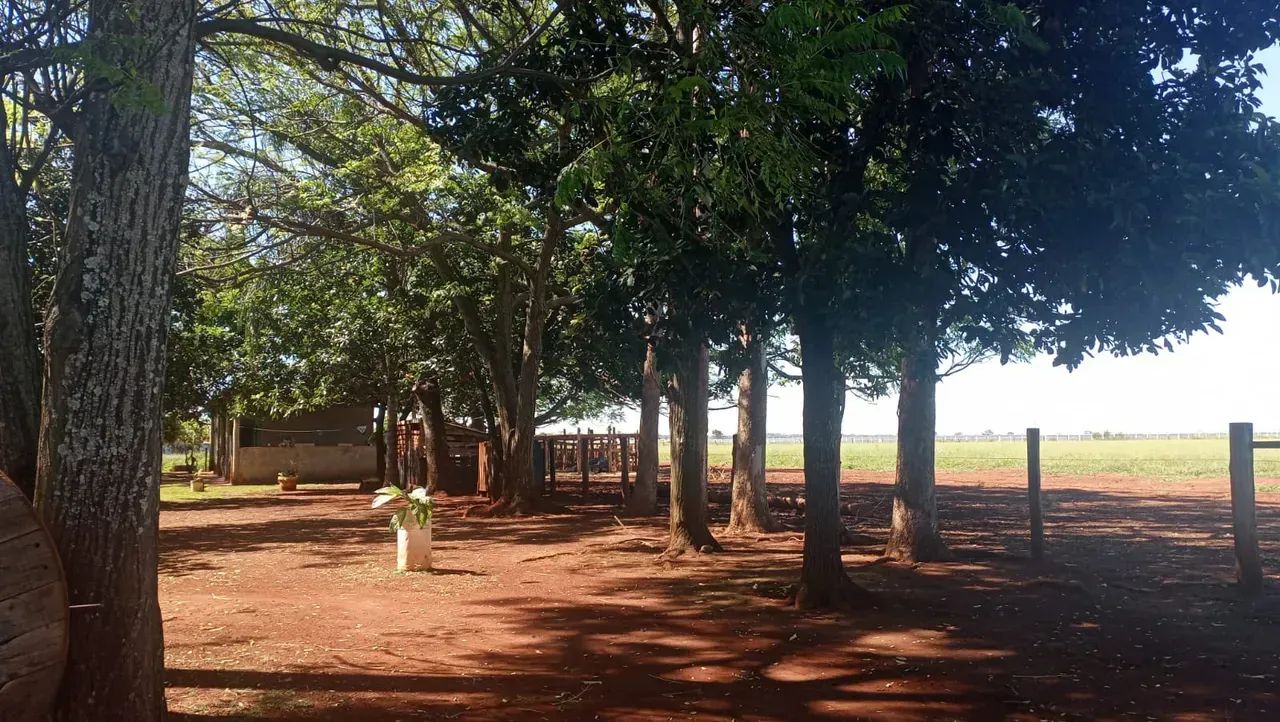 CÓD199  Chácara 10 ha | Indubrasil  Campo Grande/MS - Foto 2