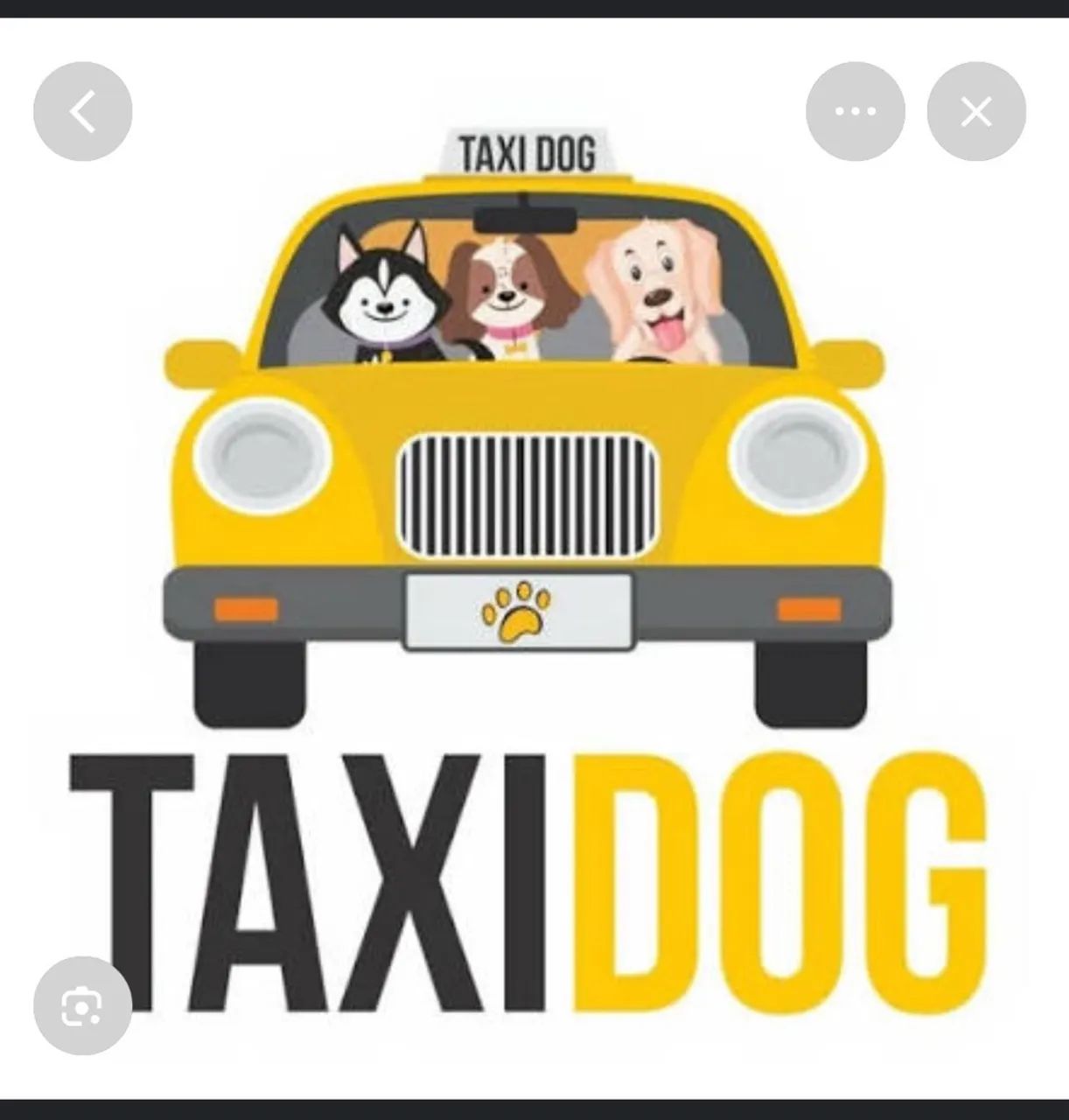 Taxi pet 