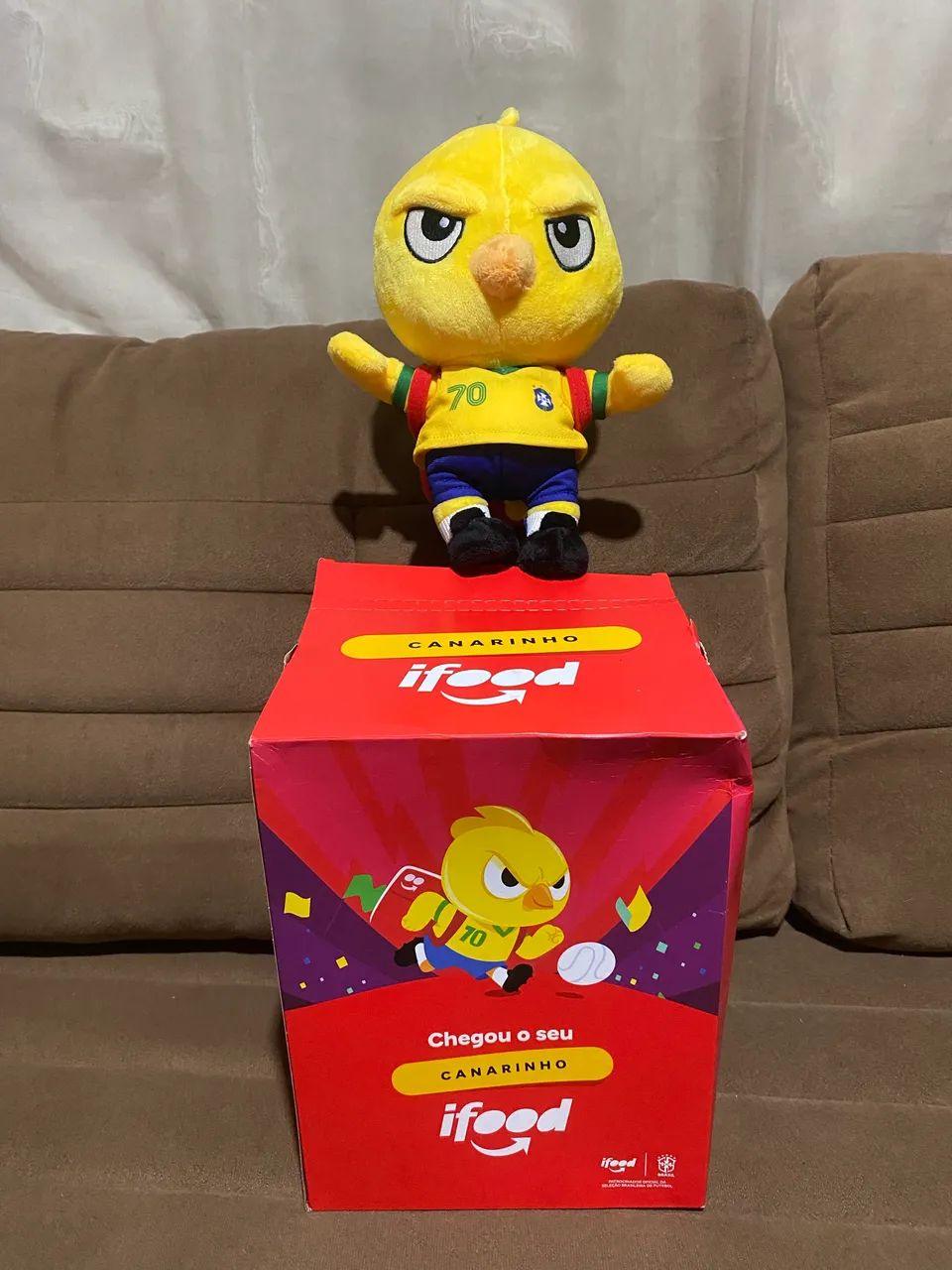 CANARINHO DE OURO - Foto 4