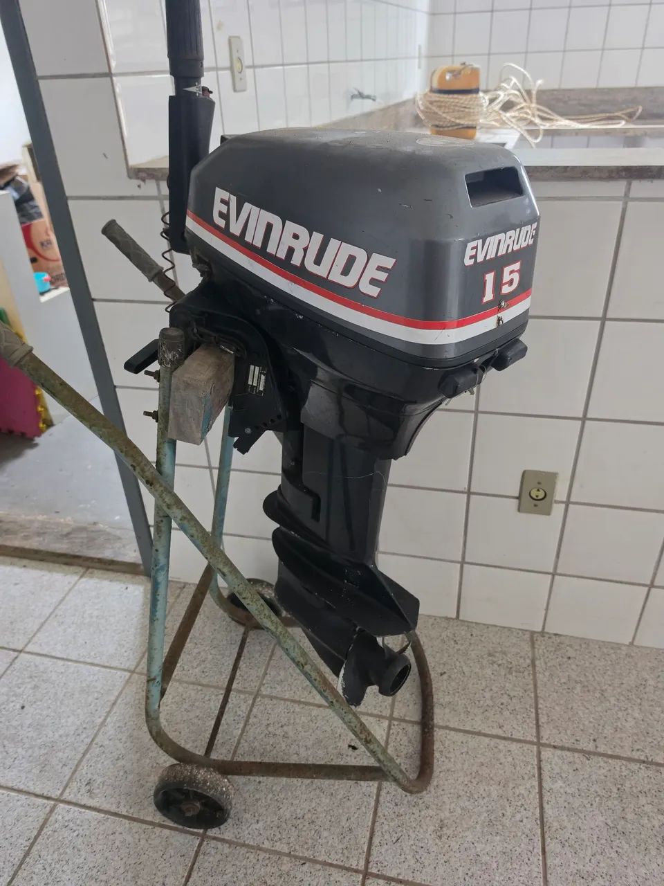 Motor de popa envirude 15 hp