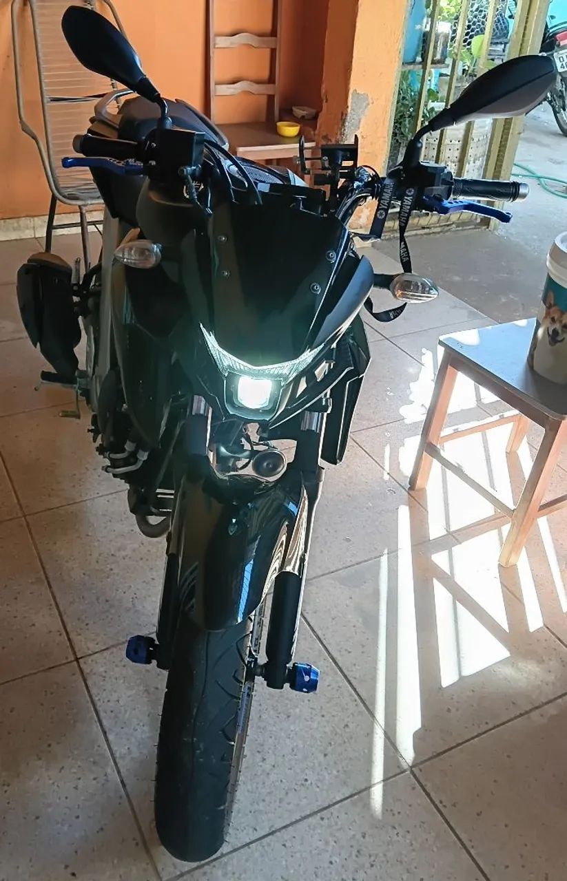 Fz25 2022
