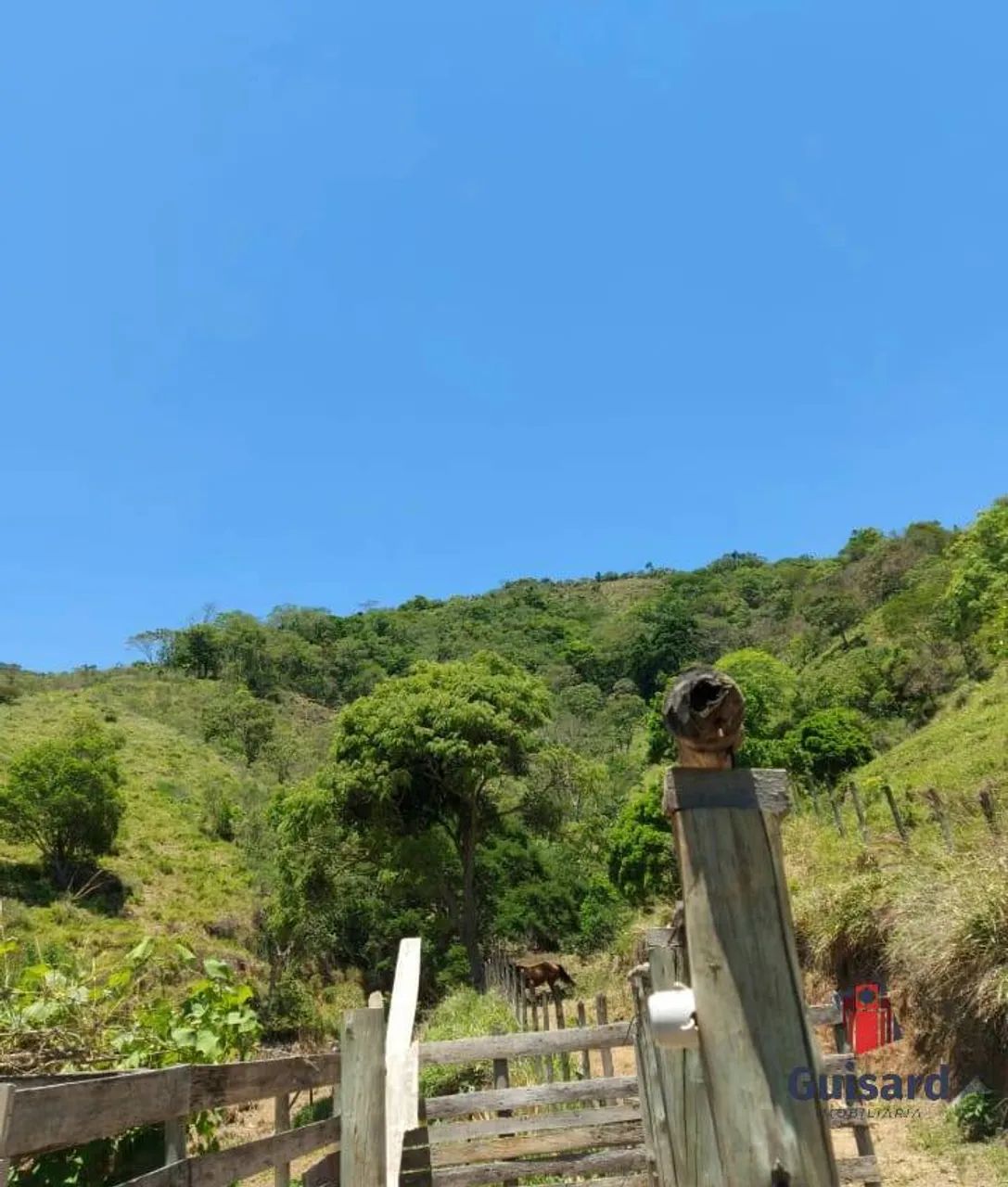 SÍTIO 10 Alqueires EM SÃO LUIZ DO PARAITINGA - Foto 4