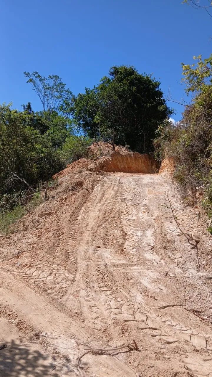 Foto - Salvador - Caminho das Árvores