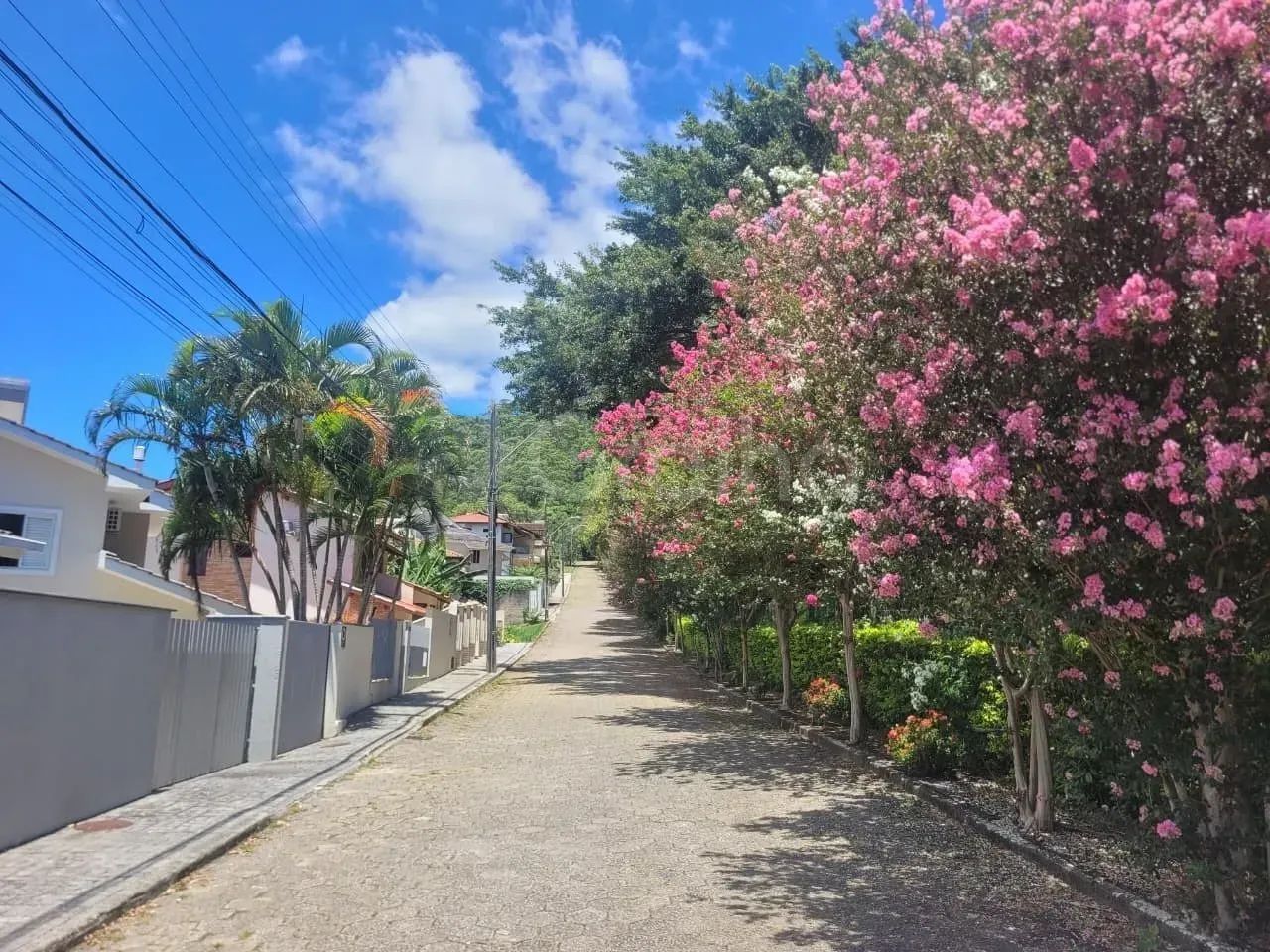 Imóvel para venda com 750 metros quadrados em Trindade - Florianópolis - SC - Foto 5