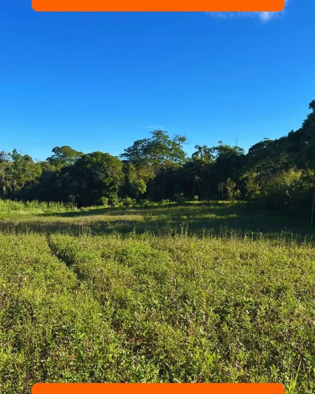 SEU TERRENO EM CAUCAIA DO ALTO-COTIA/SP! - Foto 4