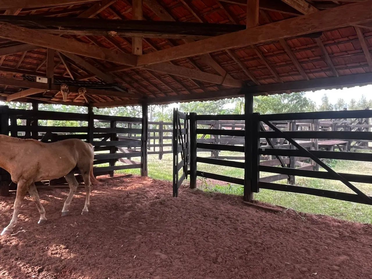 Vendo Curral  - Foto 5