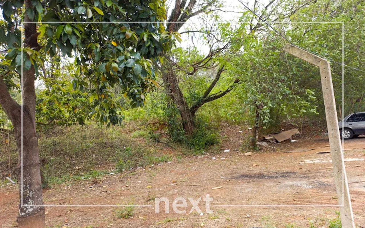 terreno - Parque São Quirino - Campinas - Foto 5
