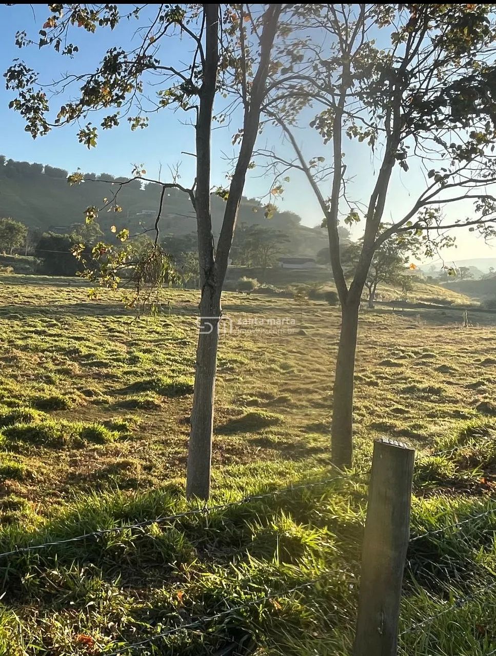 SITIO PLANO PARA COMERCIO/HARAS/MORADIA/LAZER  BANANAL  SP - Foto 3