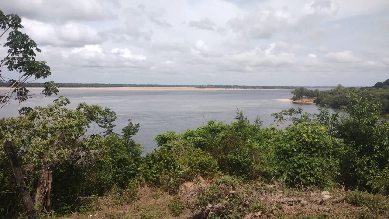 FAZENDA À  VENDA / BREU BRANCO  - Foto 2