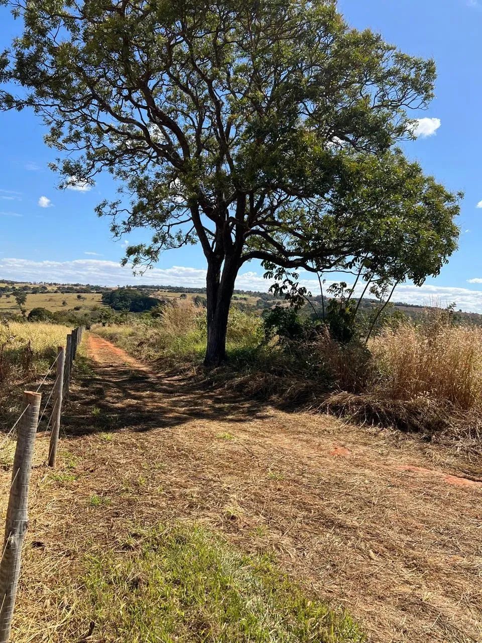 Chácara Bela vista