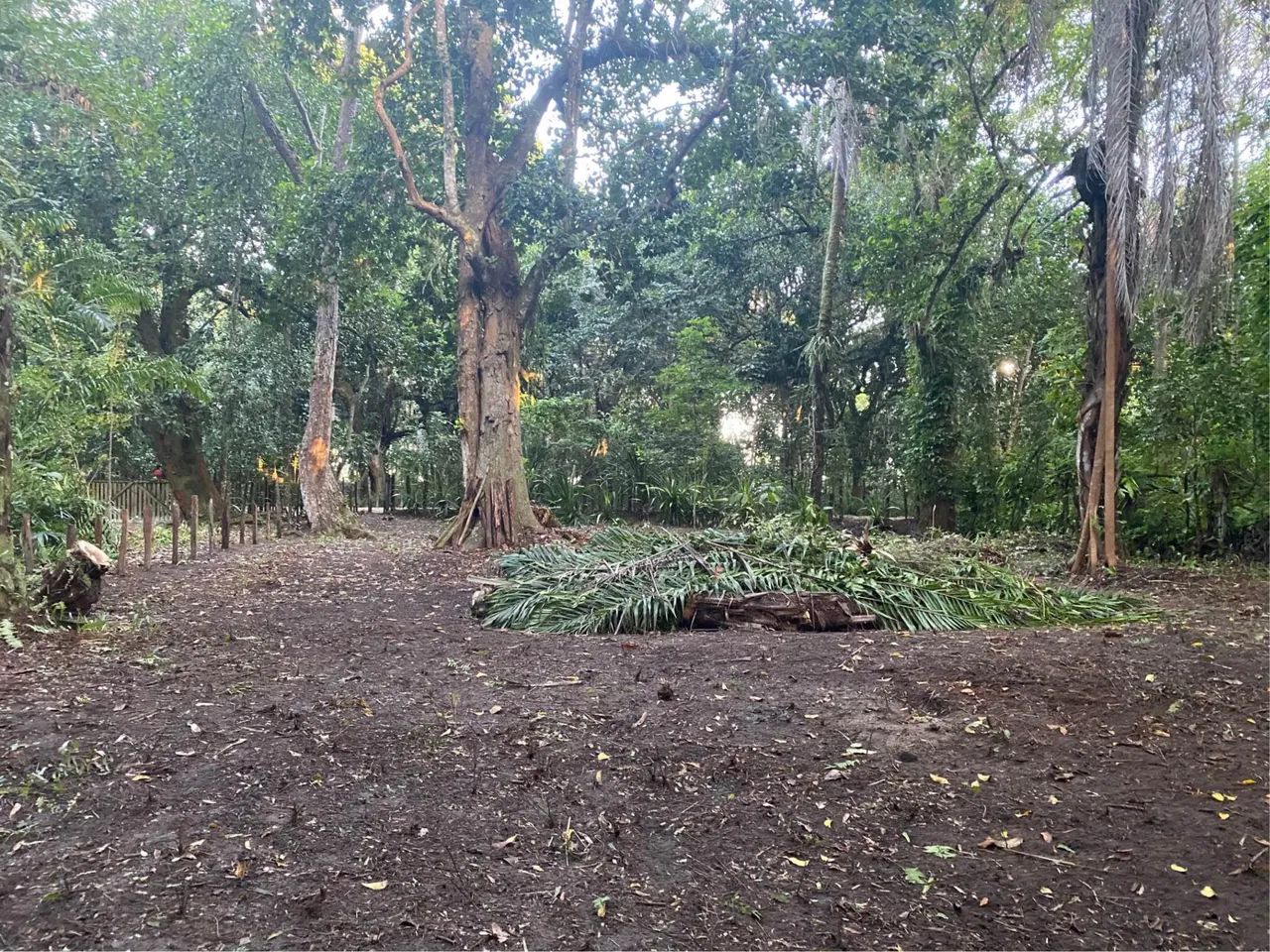 Terreno no centro histórico 