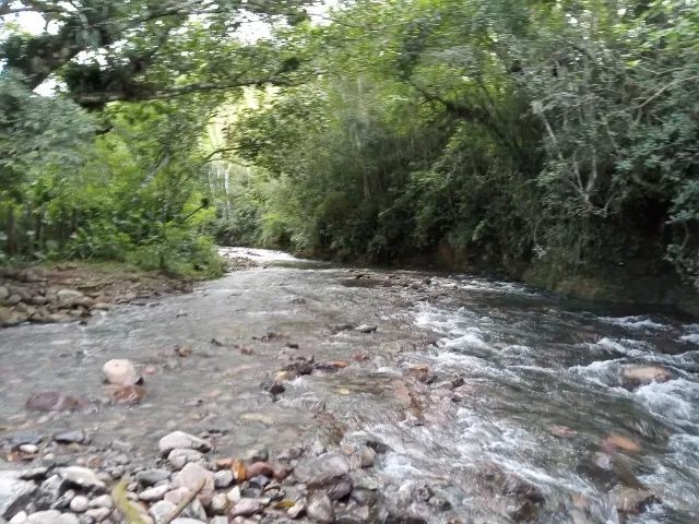 VENDO SÍTIO CIRENÁICA TREVISO SC - Foto 2