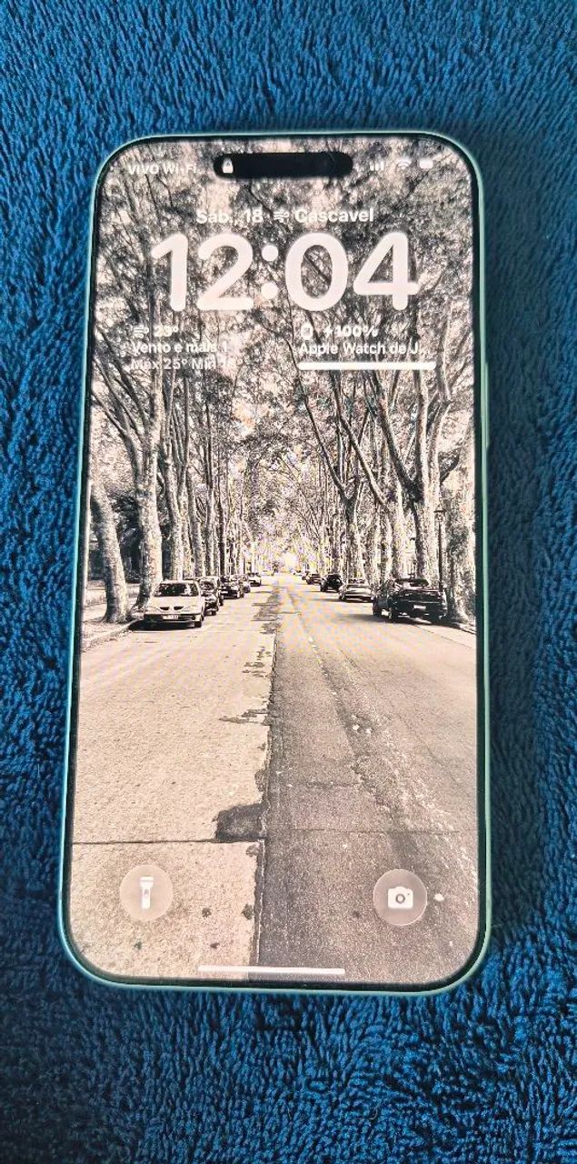 iPhone 17 Pro Max Silver 256GB