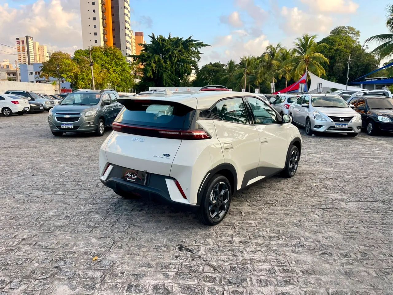 BYD Dolphin Mini GL 2027 - Foto 5