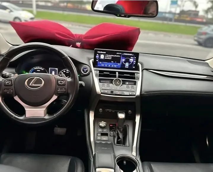 Lexus NX-300 H Luxury 2.5 16V Aut., foto 4 de 11