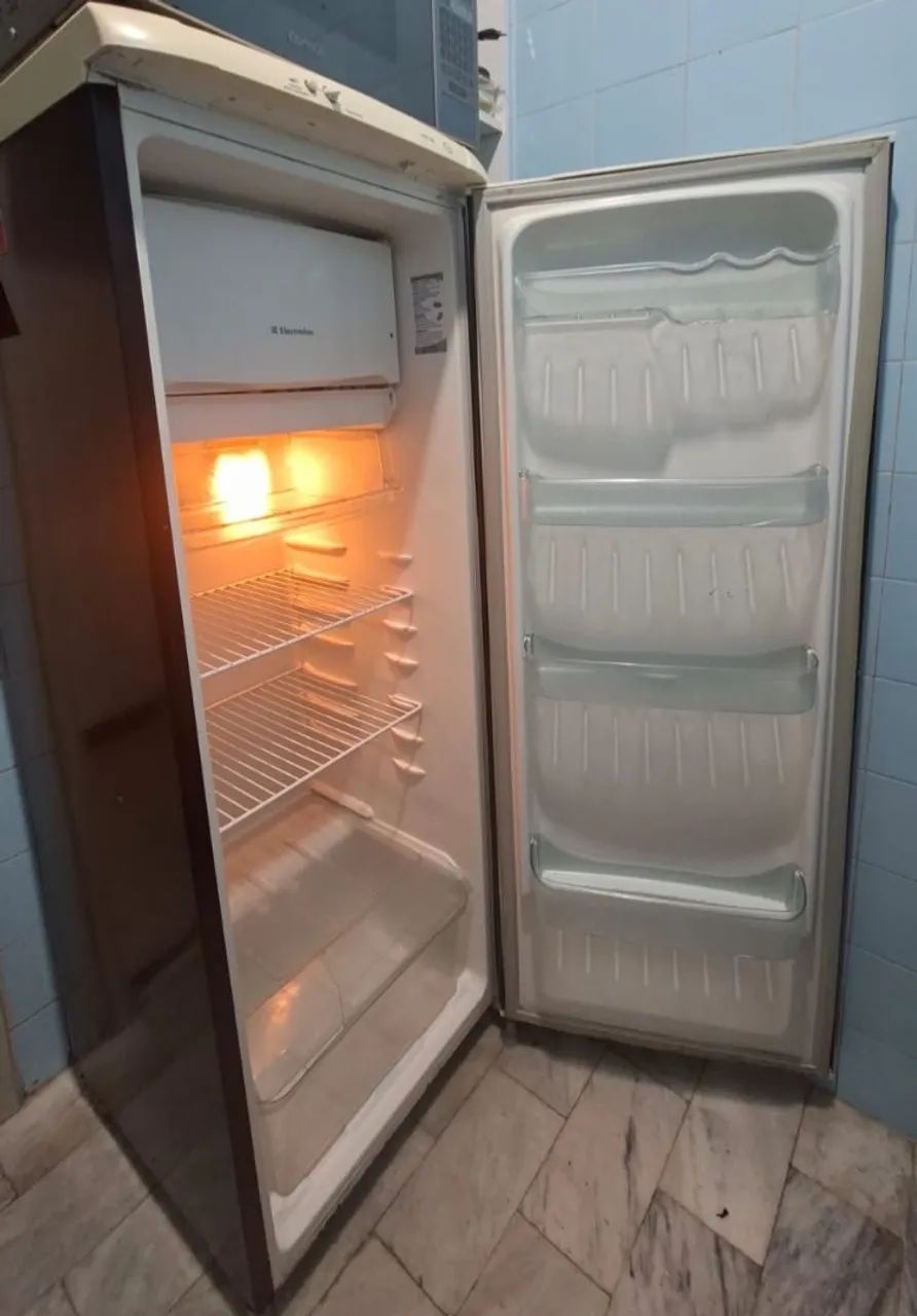 Geladeira Electrolux Degelo Prático 