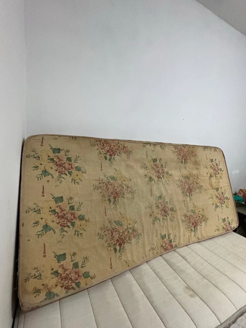 DOAÇÃO  - Foto 2