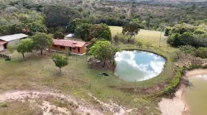 Fazenda toda formada  - Foto 2