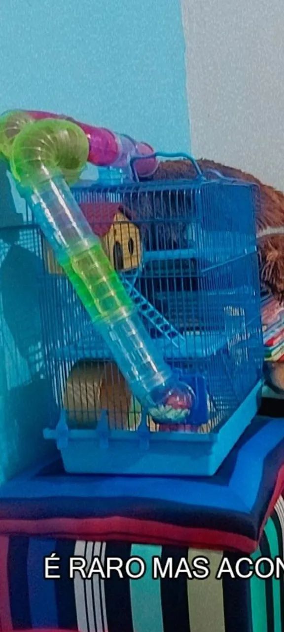 Casa de hamster 441091563172679681