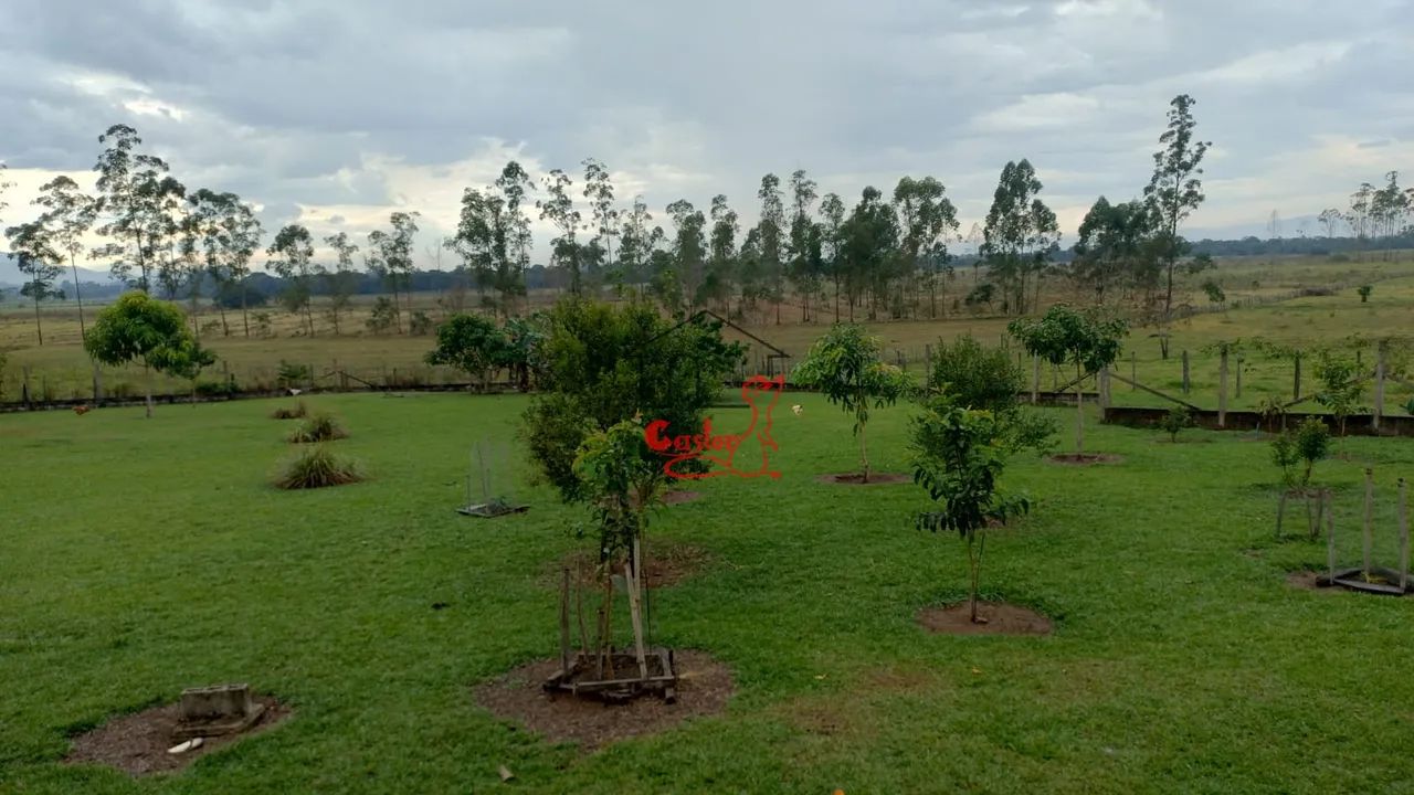 Chácara ( Cerâmica Mandu ) - Foto 5