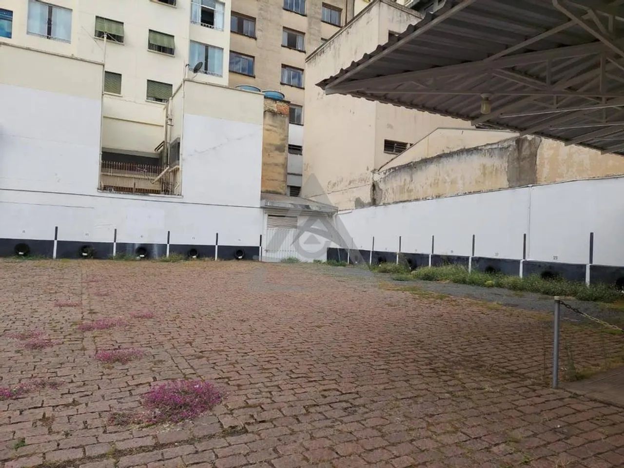 Terreno para alugar em Campinas, Centro, com 730 m² - Foto 4