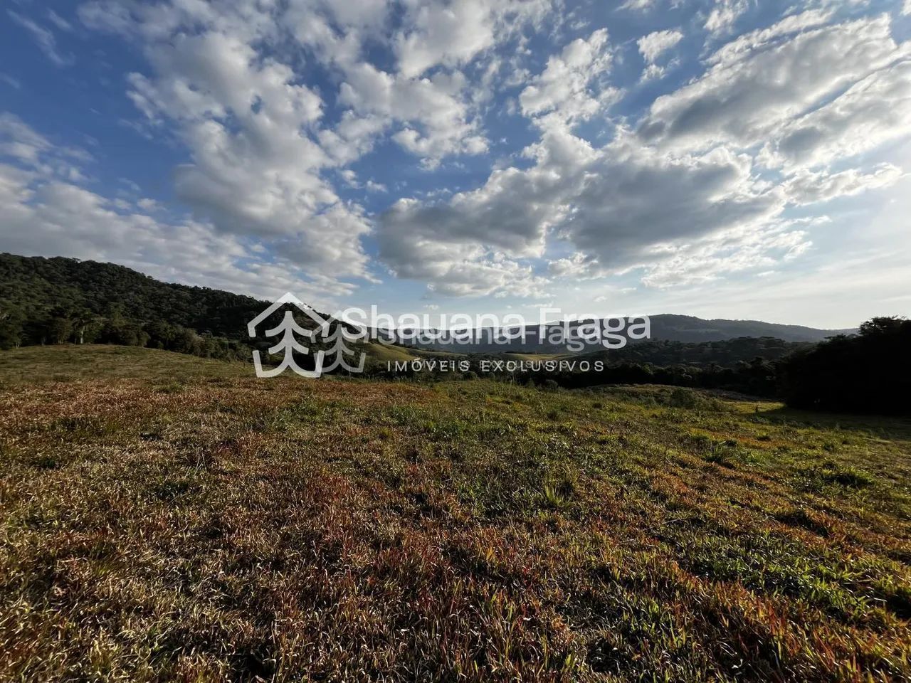 Terreno rural - Foto 5