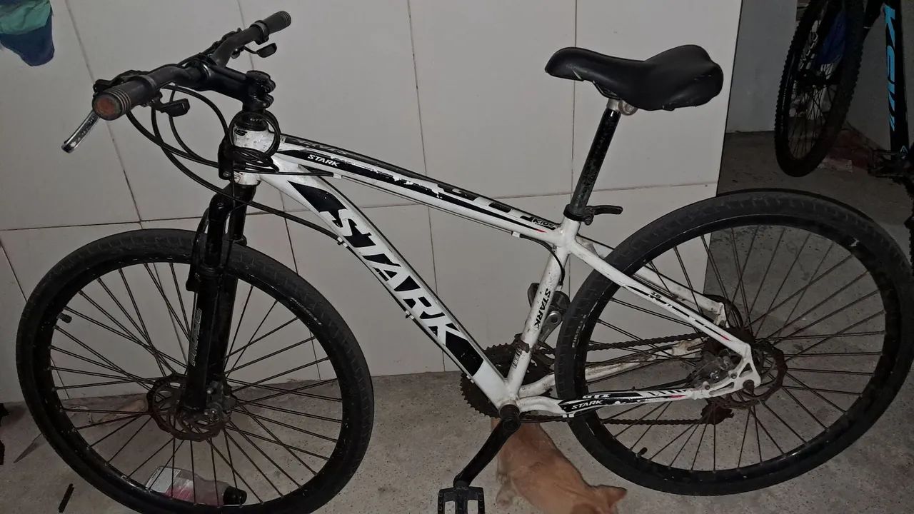 Bicicleta aro 29 