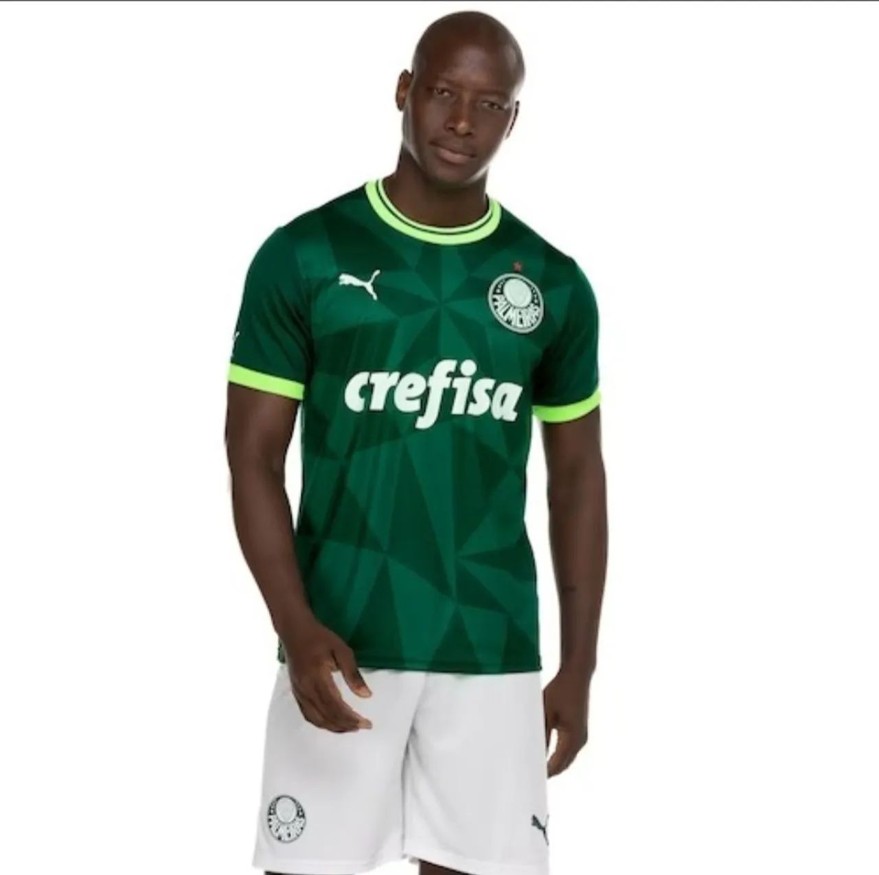 Camisa do Palmeiras importada