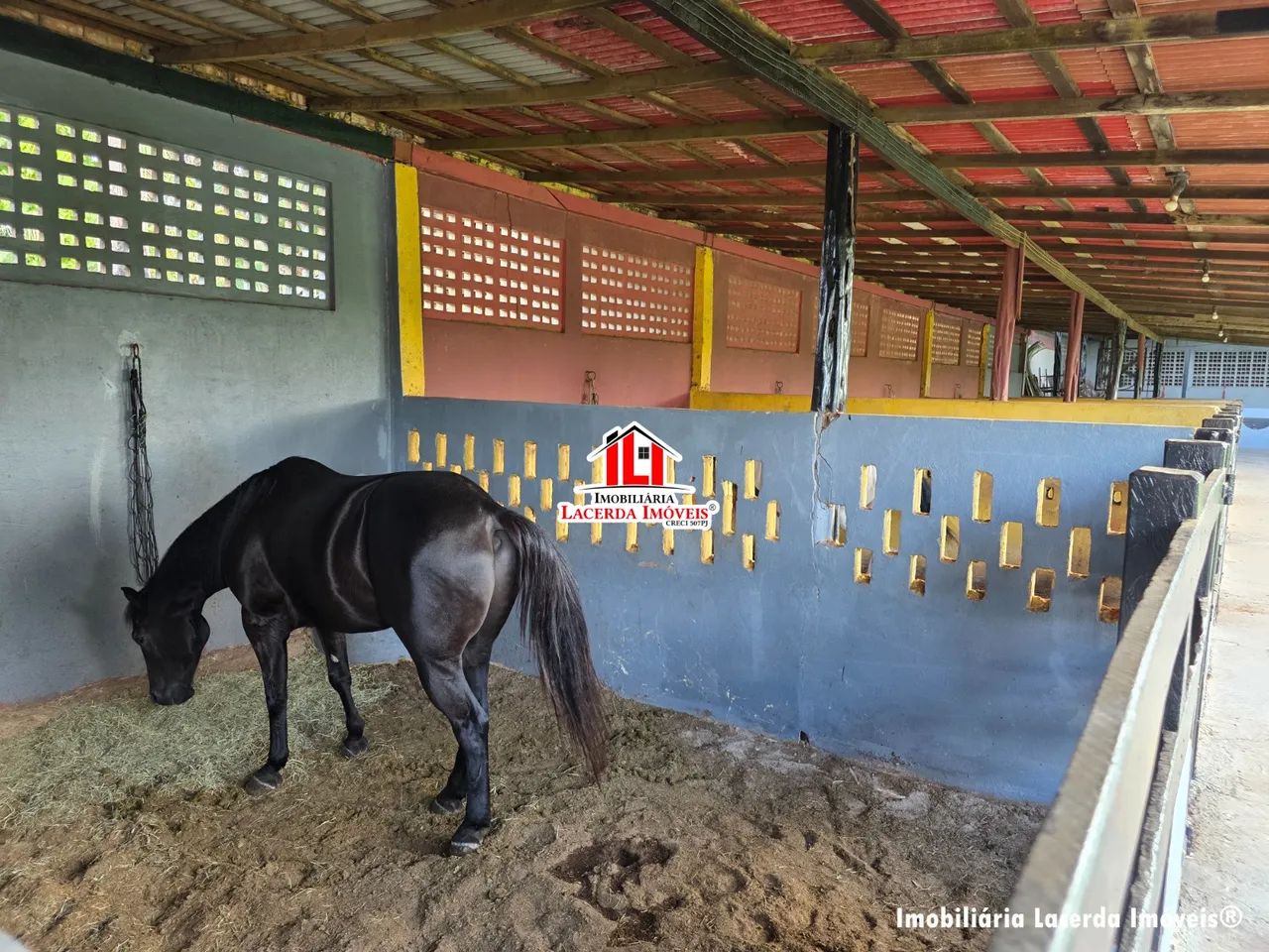 Haras e Chácara no Tarumã Açu com 9.000m² e Casa de 5 Quartos sendo 3 Suítes - Foto 2