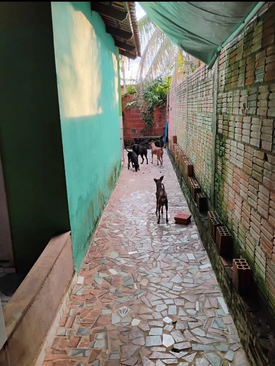 Casa a venda  - Foto 4