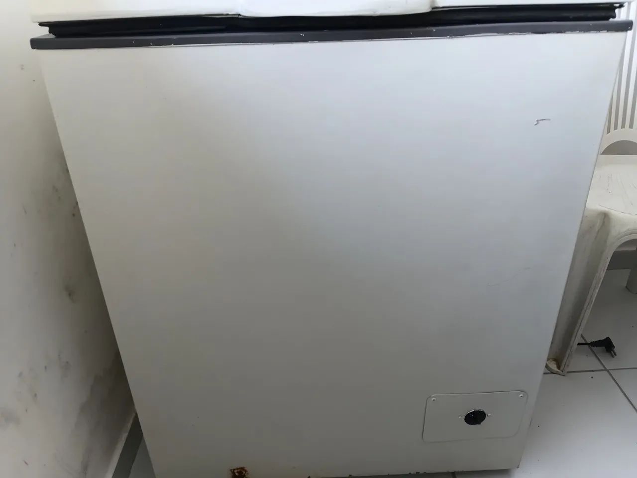 freezer 309L  - Foto 3