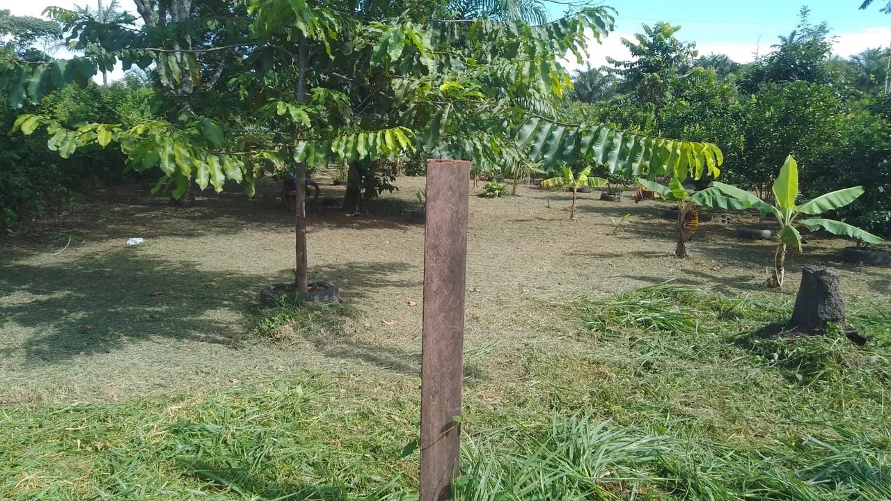 Vende-se lote no ramal do boto  - Foto 2